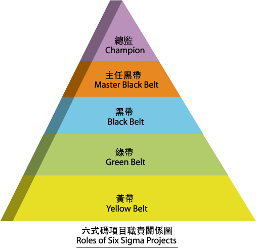 Roles of Six Sigma Projects