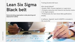 SSI_Lean Black Belt